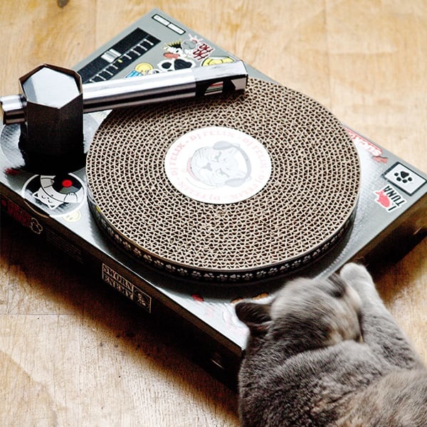 Funny DJ Scratch Cat On Turntable | Poster