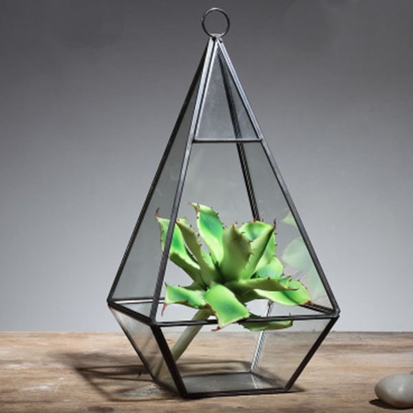 Nordic Glass Terrarium - ApolloBox