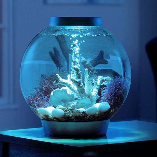 Baby BiOrb Aquarium With LED - ApolloBox