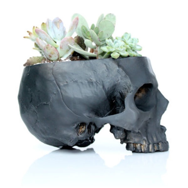 Cactus Skull Planter - ApolloBox