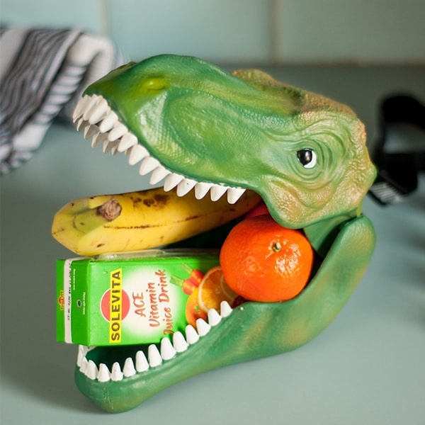 Personalized Dinosaur Lunch Box Gift for Kids, T-rex Lunch Bag