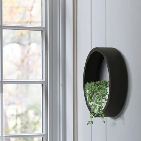 best plants for wall planters