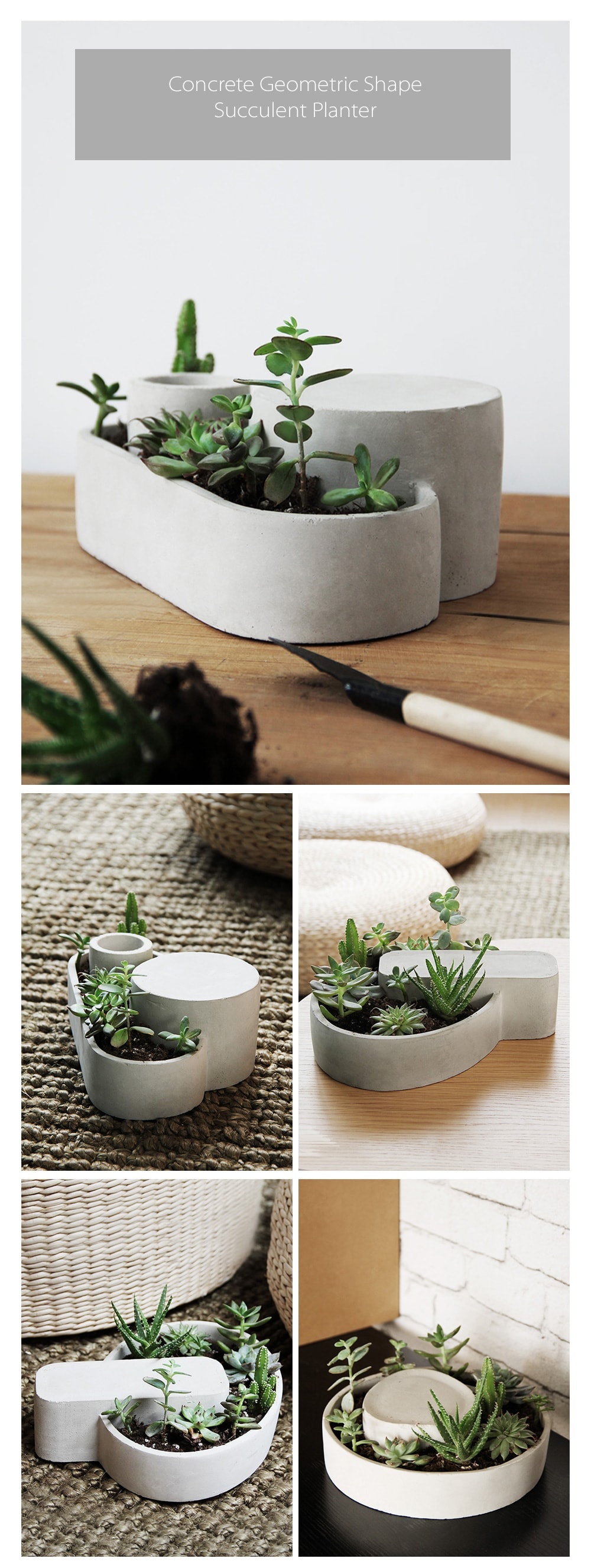 Concrete Geometric Shape Succulent Planter - ApolloBox