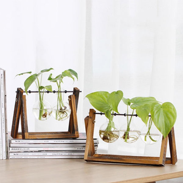 Hydroponics Glass Vase - With Wood Stand - 3 Sizes