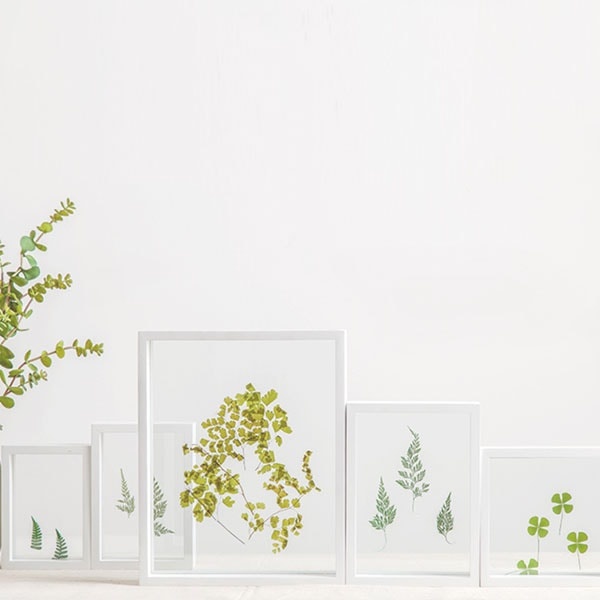 Botanic Leaf Prints With Rustic Wood Frames - Set of 6 - Woodwaves