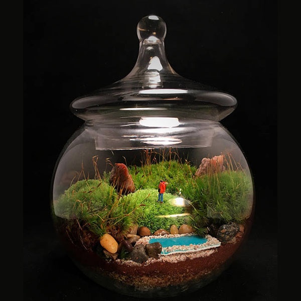 Secret Garden Moss Terrarium from Apollo Box