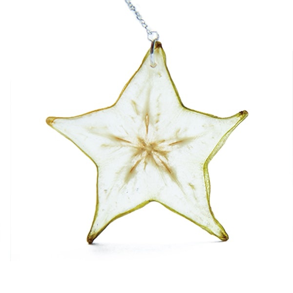 Star Fruit Earring - ApolloBox