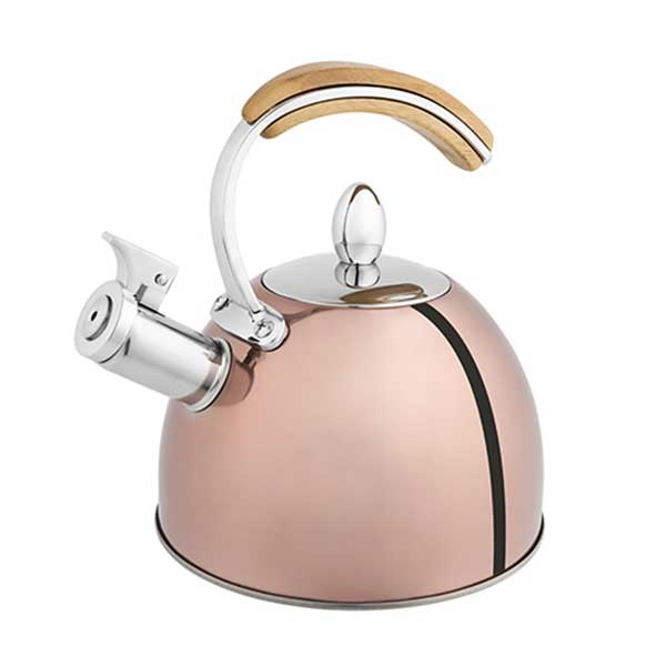 Induction Cooker Whistling Kettle from Apollo Box