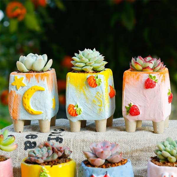 https://rs.apolloboxassets.com/images/sku2656_Hand-painted_Cartoon_Succulent_Plant_Pot/Array_19.jpg