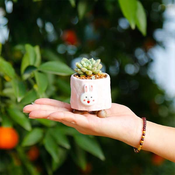 Cute Tangerine Pot - Ceramic - Kitchen Must-have from Apollo Box