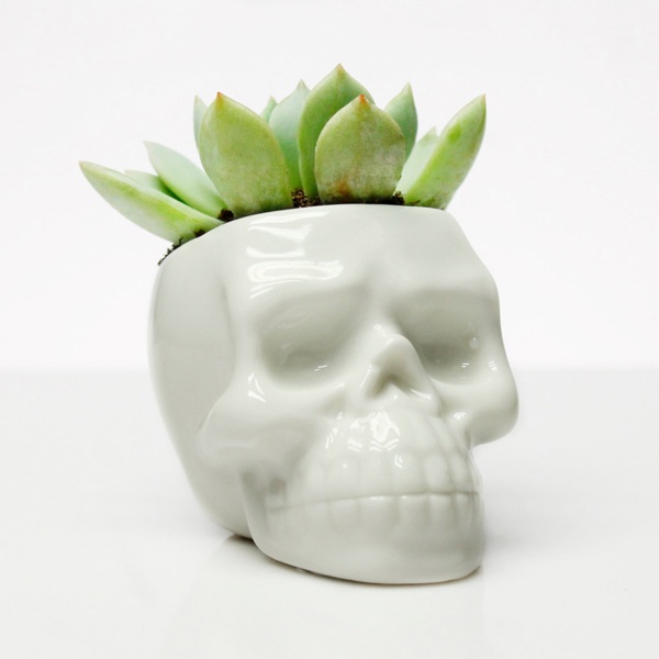 Skull Planter