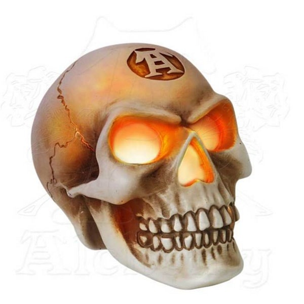 The 20" Color Changing Spooky Skull With Fiber Optic Lights 